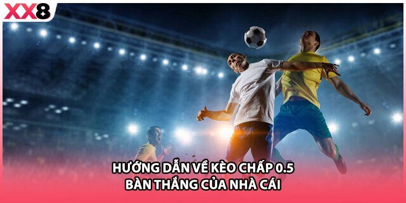 Hướng dẫn về kèo chấp 0.5 bàn thắng của nhà cái